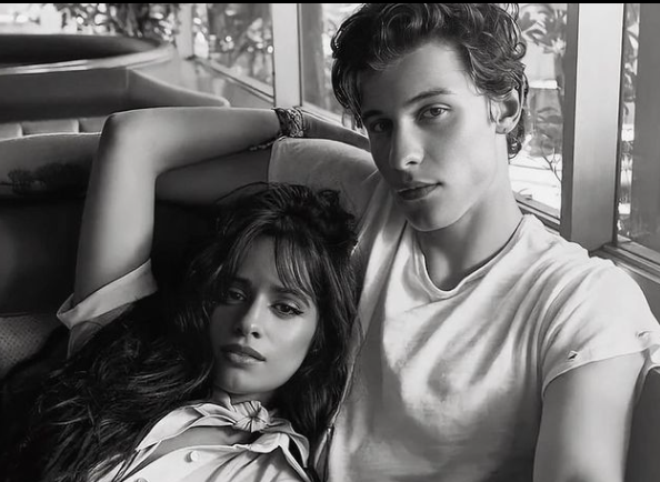 ¡Por fin! Camila Cabello contó el motivo de su ruptura con Shawn Mendes