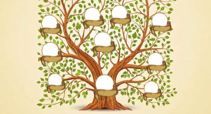 Desarrollan una genealogía humana unificada