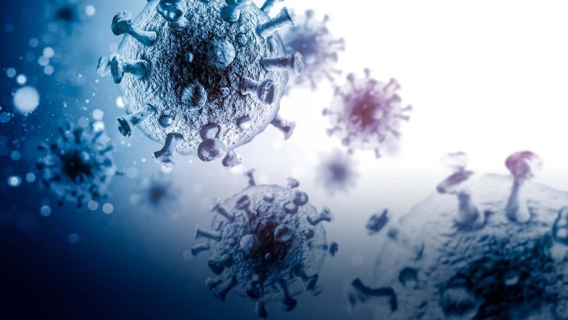 Infección de ano por peligroso virus levanta alertas tras estudio