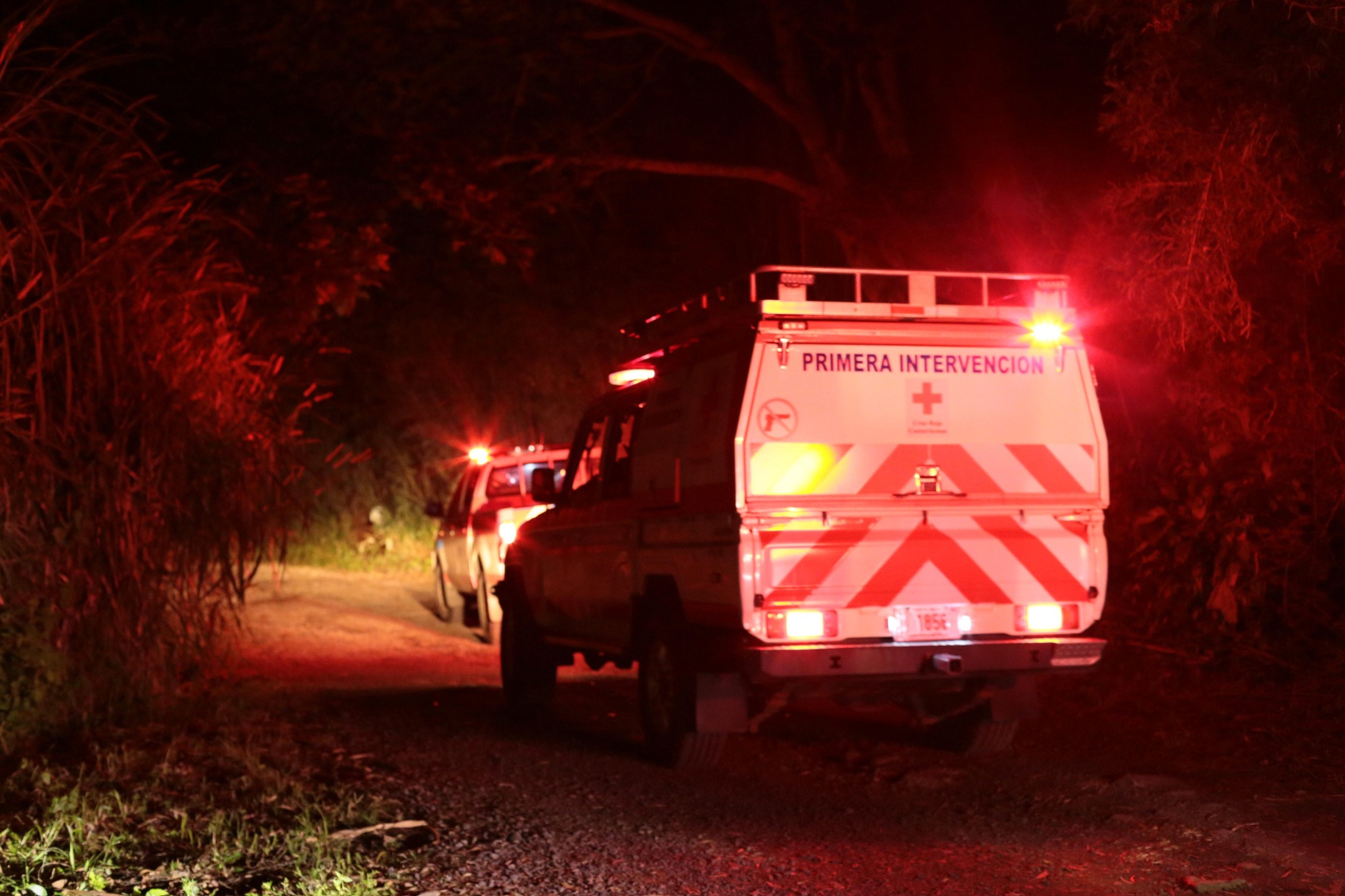 Brutal choque contra vaca deja dos personas gravemente heridas