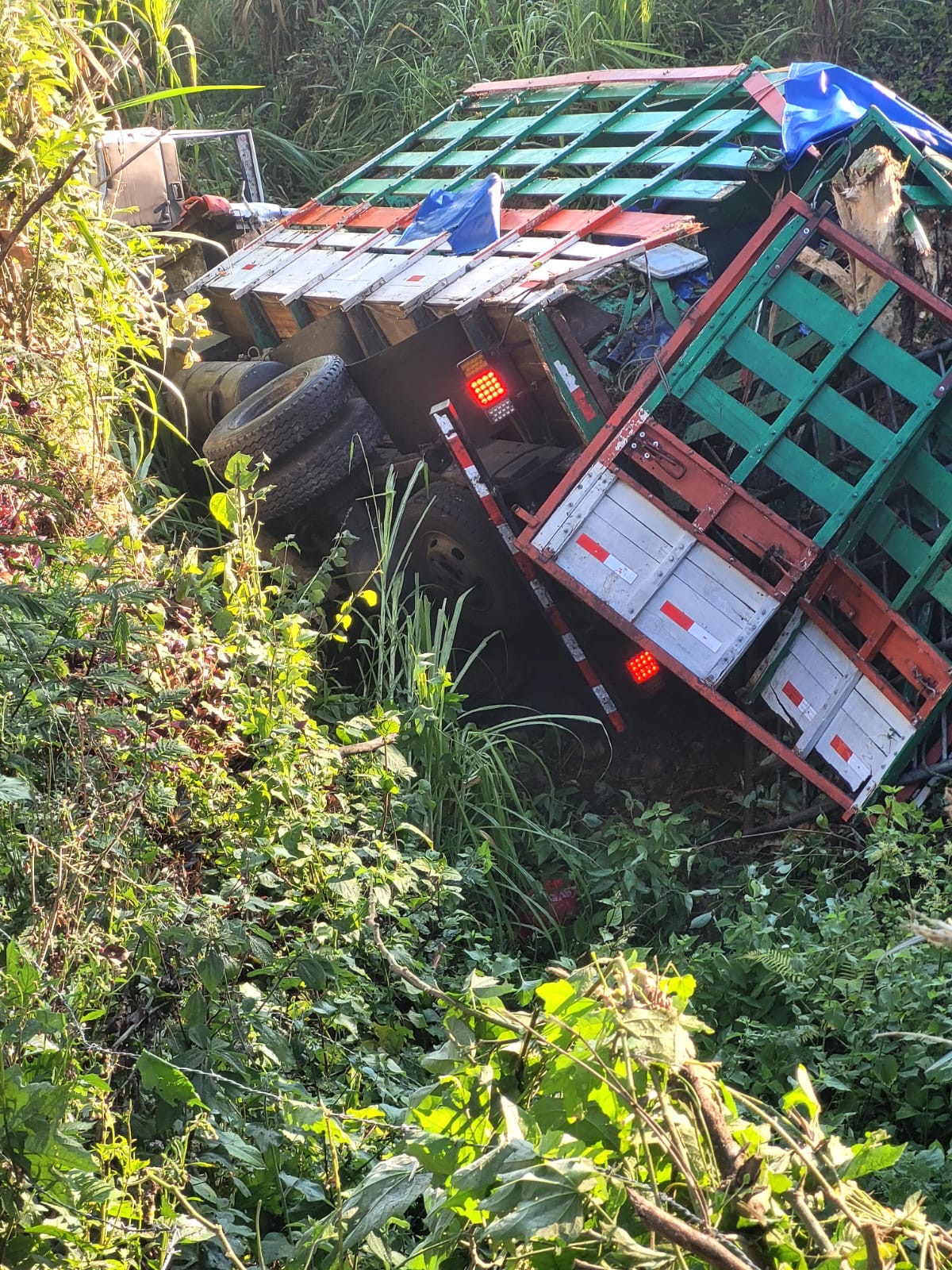 Video capta el momento en que camión se queda sin frenos y se sale de la vía en Aserrí