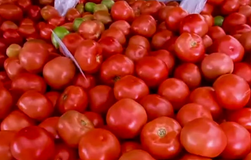 Baja en el precio del tomate: ¿En cuánto está el kilo?
