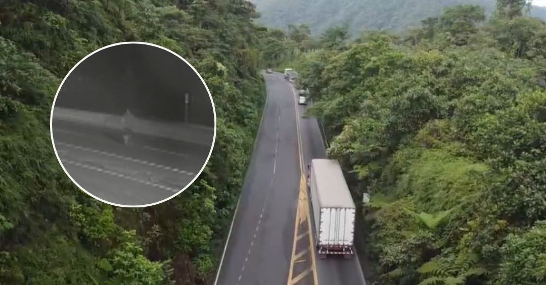 Tragedia en Ruta 32: hombre muere atropellado y conductor se da a la fuga