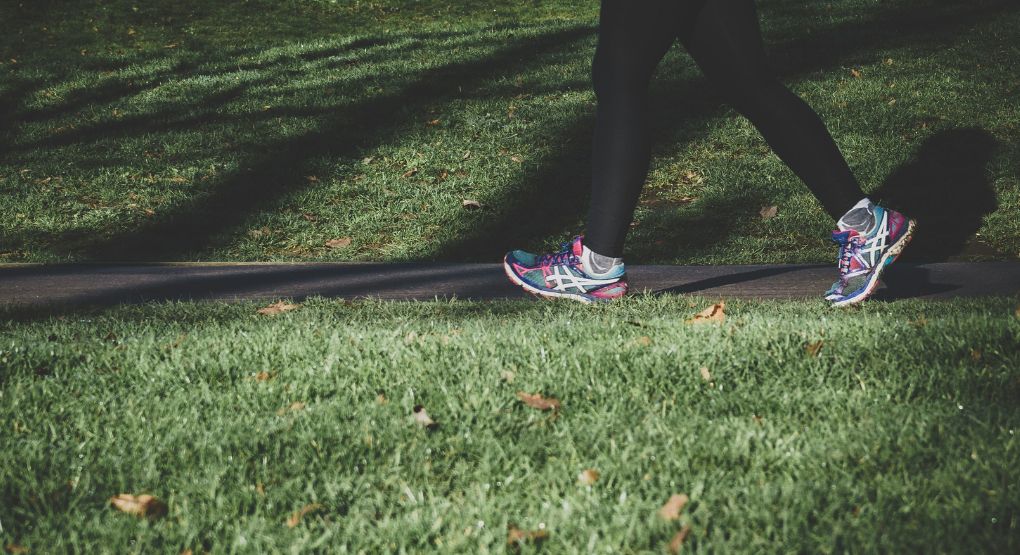 Prepárese para la montaña con un guía especial y descubra panorámicas y rincones mágicos