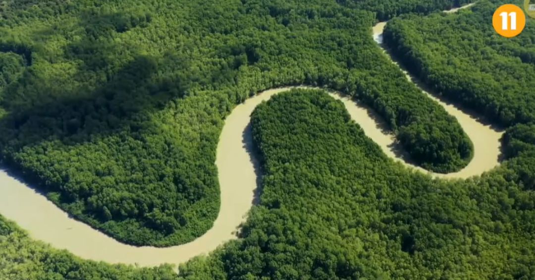 Costa Rica es premiada como mejor destino de naturaleza del mundo