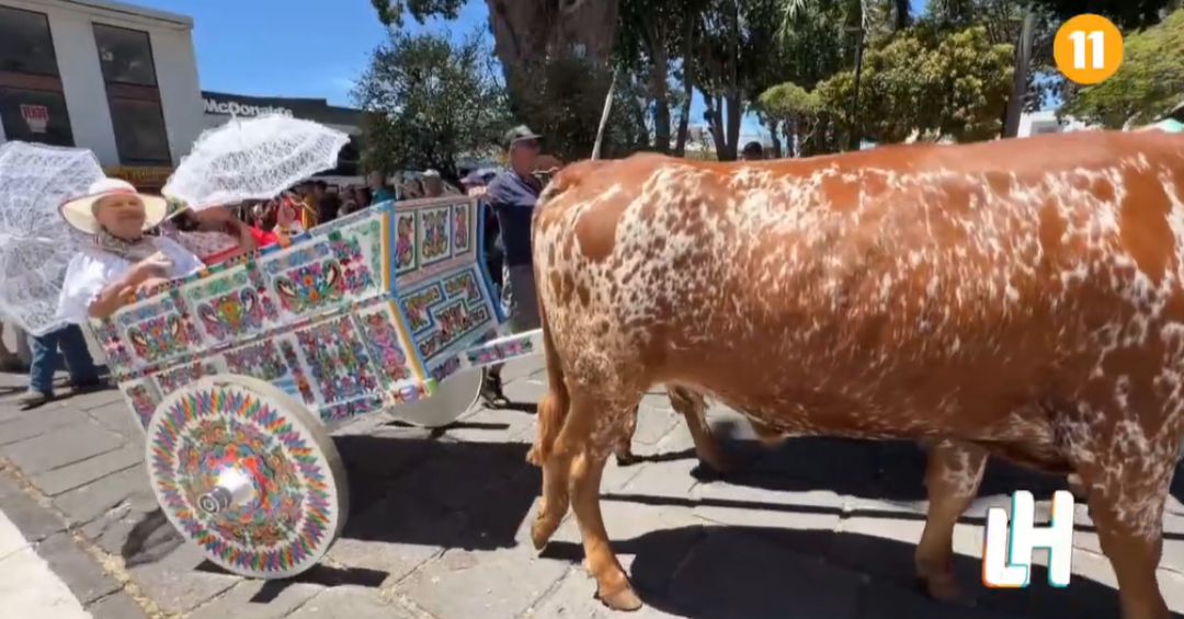 Tradición viva: desfile de boyeros llenó de cultura las calles de Alajuela