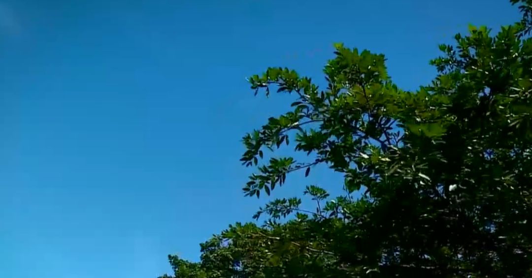 ¡Prepárese! Así estará el clima este lunes