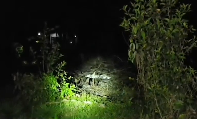 Hallan cuerpo de adulto mayor calcinado tras quema en San Ramón