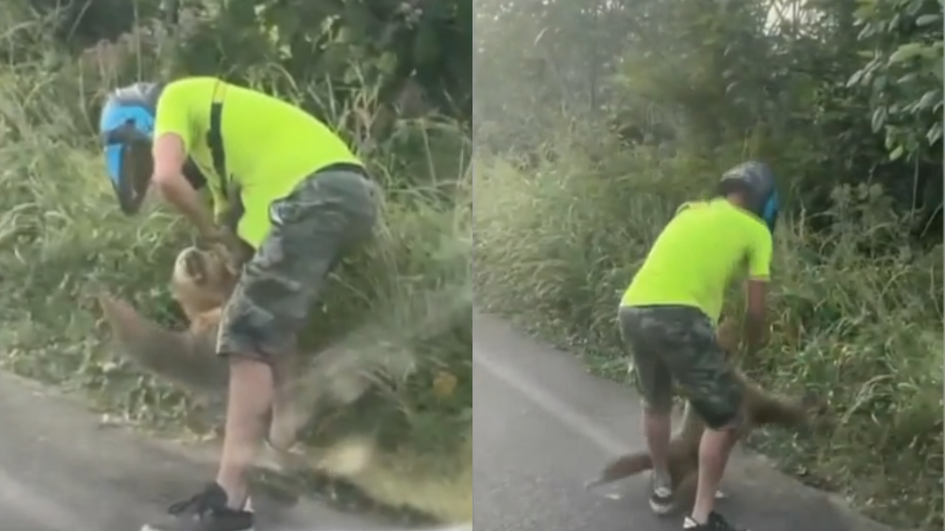 Entrevista exclusiva: hombre atacado por perezoso conversa con Noticias Repretel