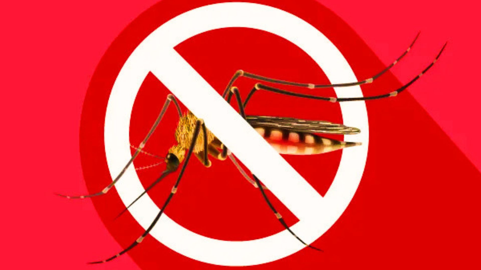 ¡Alerta en el país! Fenómeno impactaría en los próximos días y preocupa a las autoridades