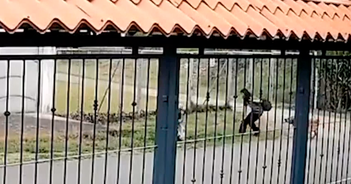 Dos menores sufren peligroso accidente cuando escapaban de un perro que intentó atacarlas