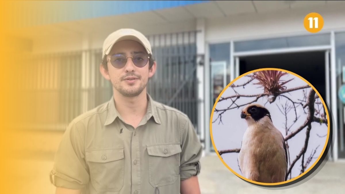 Steven convirtió su amor por las aves en arte a través de la fotografía