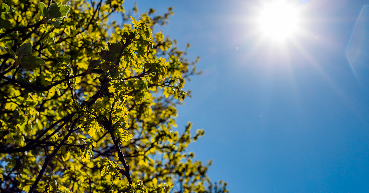 IMN anuncia los lugares donde se presentará fenómeno solar este viernes