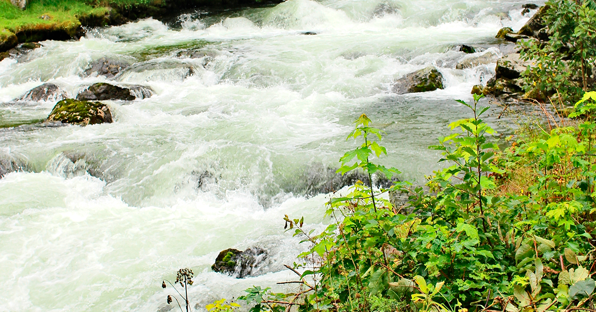 Terrible: Joven muere ahogado en poza ubicada en Heredia