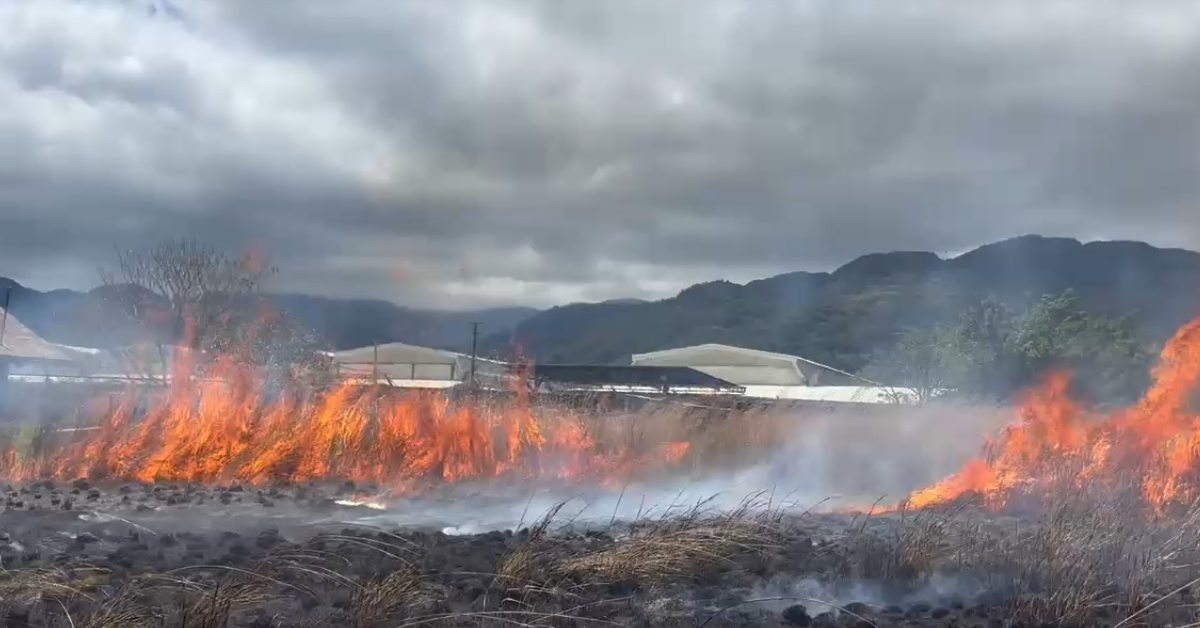 Voraz incendio en Santa Ana amenaza varias industrias y empresa de autobuses
