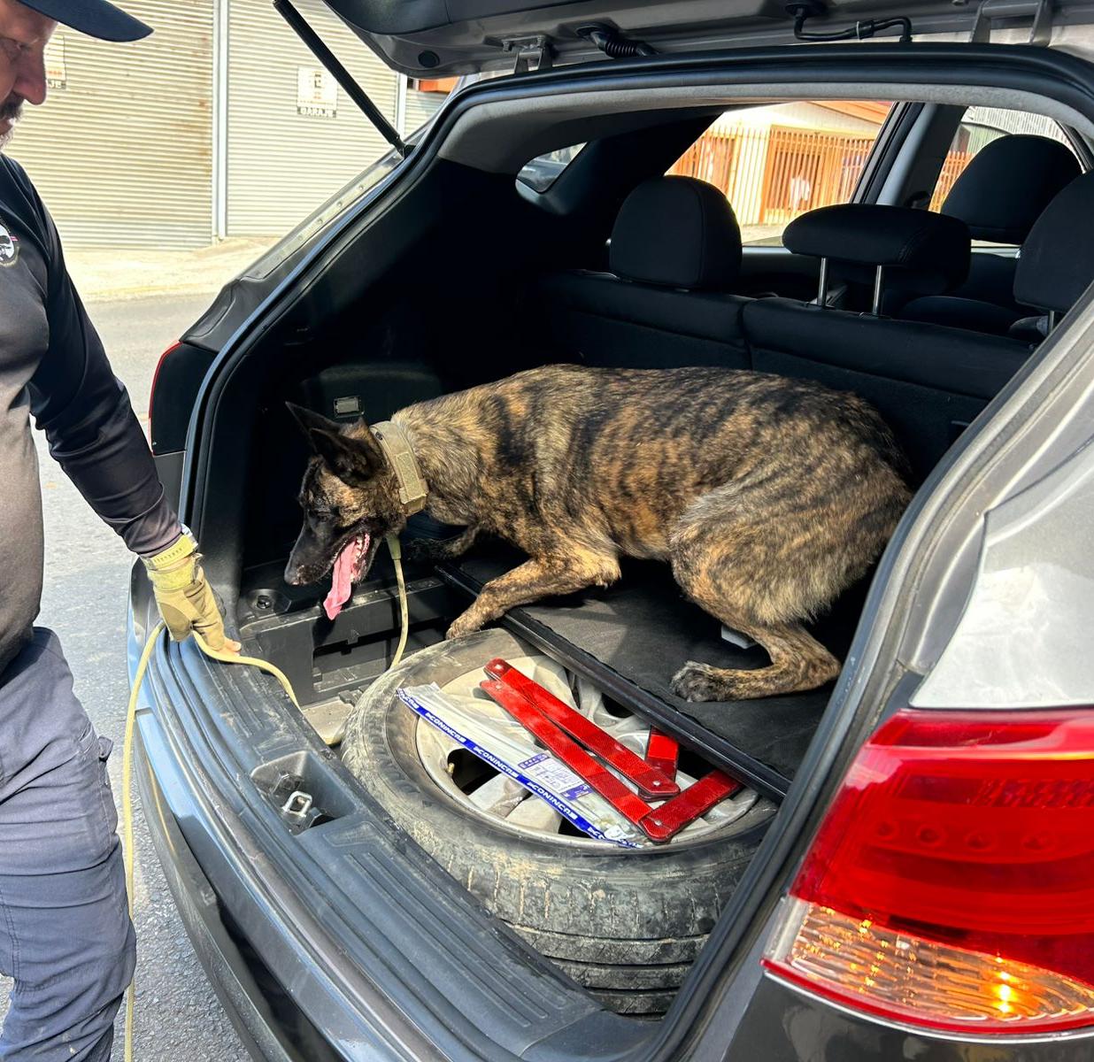 Esto encontró la policía en carro de futbolista investigado en San Carlos