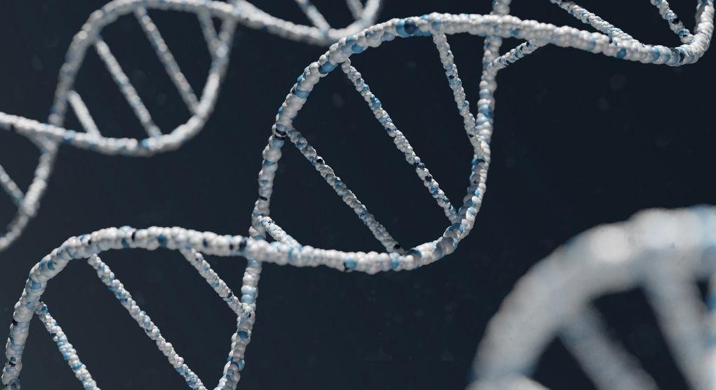 Conoce usted sobre la epigenética y los biomarcadores? Estudios ayudan a detectar desbalances