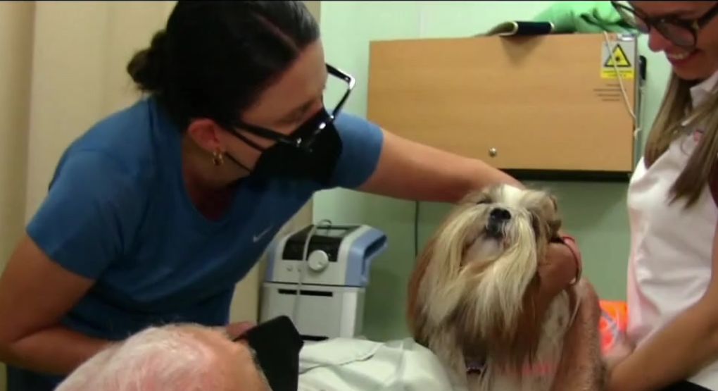 Perros de terapia llevarán apoyo emocional a hospitales en Costa Rica