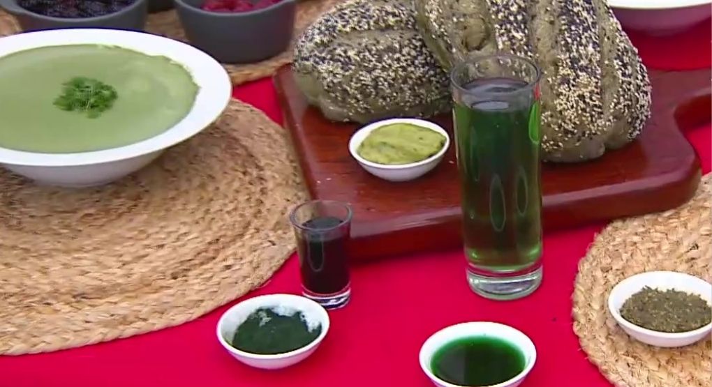 Clorofila: Sangre de las plantas que ayuda a la salud