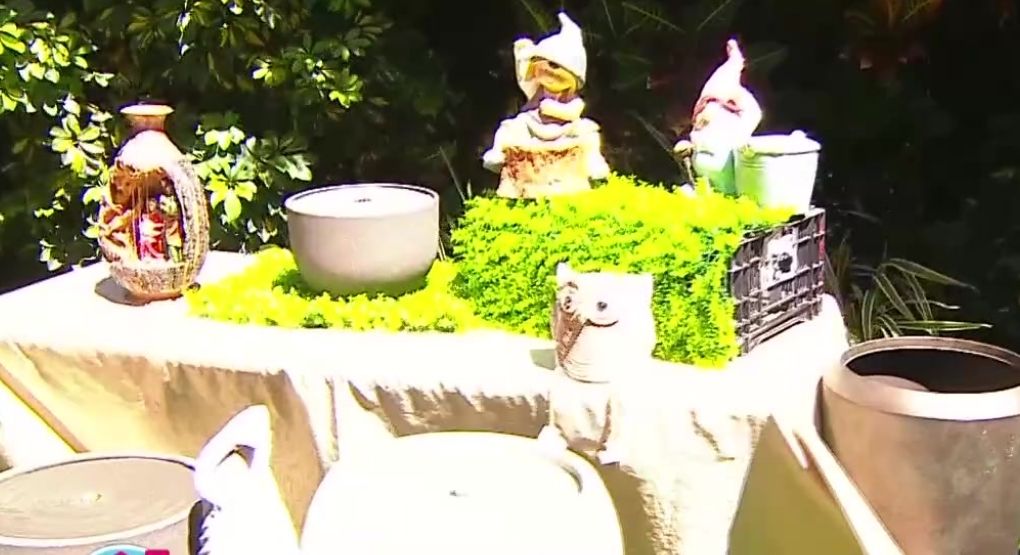 Estos son los consejos clave para embellecer su jardín