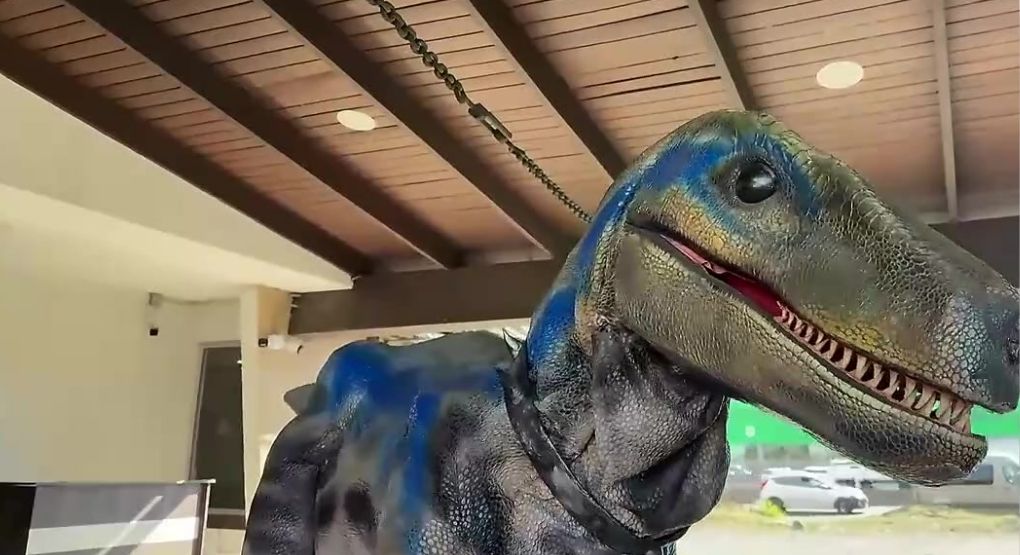 ¿Actividades o fiestas? Con estos dinosaurios será la sensación
