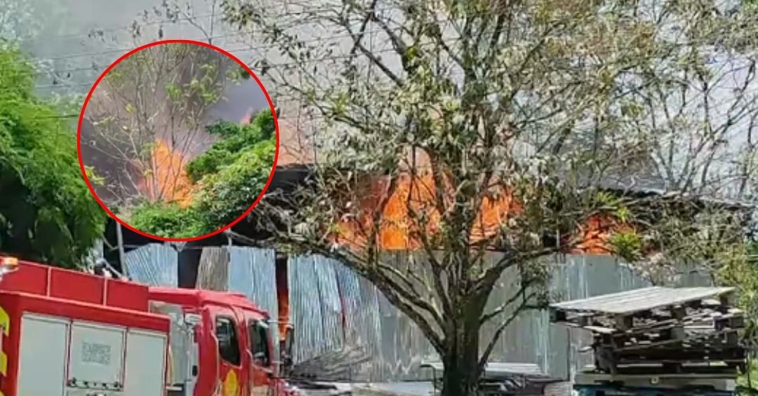 Potentes explosiones arrasan fábrica y ponen en peligro viviendas cercanas