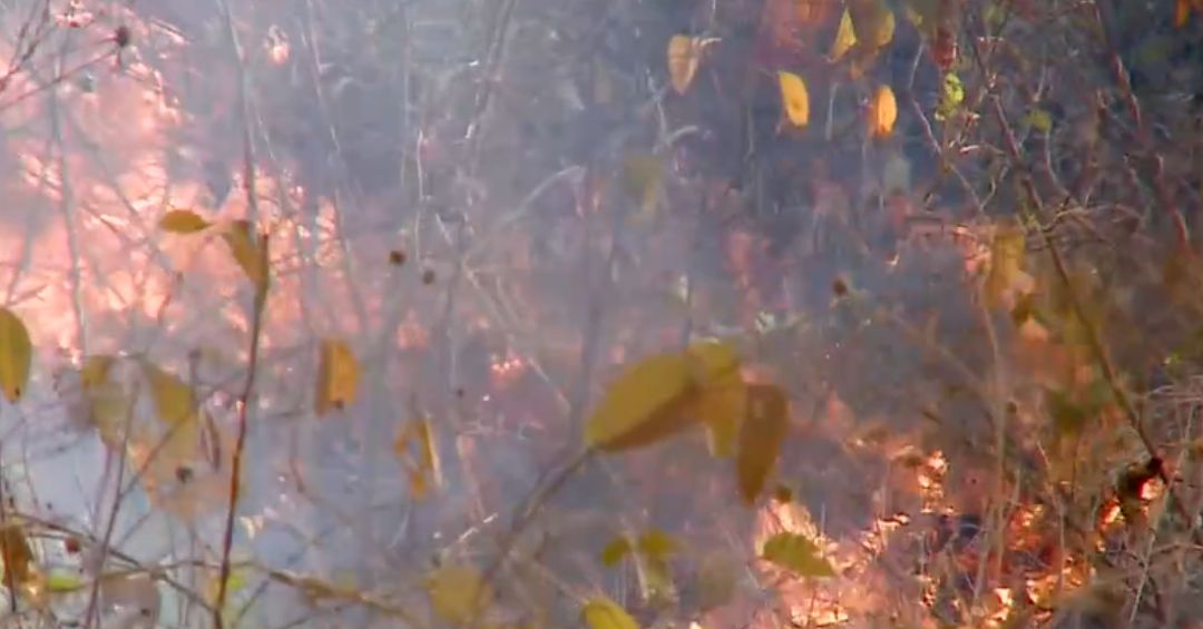 Sinac registra 85 incendios en áreas protegidas del país