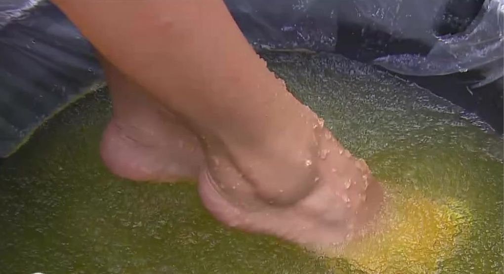 Hidratación y relajación: beneficios del Jelly Spa