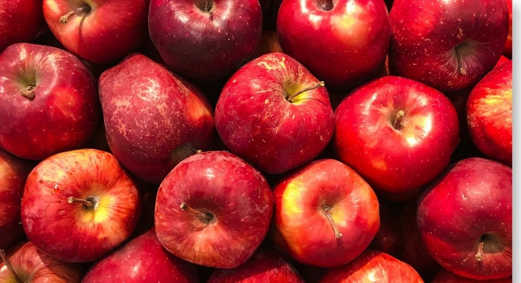 Colores, texturas y beneficios: descubra las maravillas de las manzanas