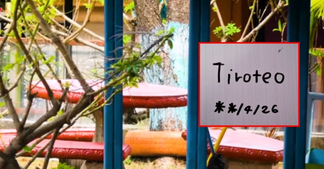 Estas serían las posibles sanciones a estudiantes y padres por amenazas de tiroteos en centros educativos