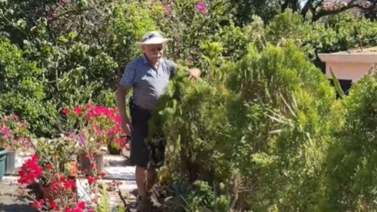Hogar se convierte en museo: vecino transforma su casa en un tesoro lleno de historia y naturaleza