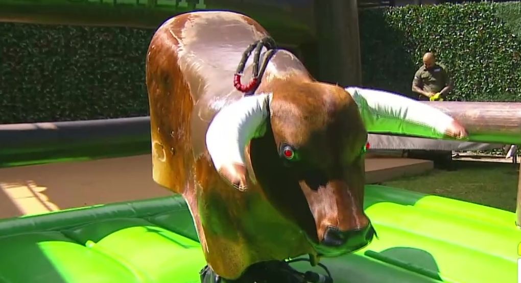Presentadores de Giros se suben al toro mecánico más salvaje del año