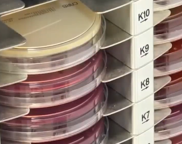 ¡Increíble avance! Este hospital da un salto al futuro y sorprende al país