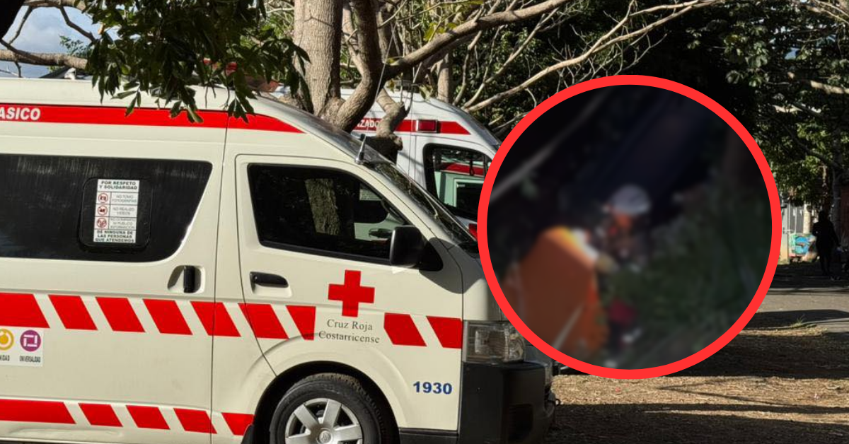 Vehículo cae a un guindo de 25 metros: dos personas quedaron atrapadas