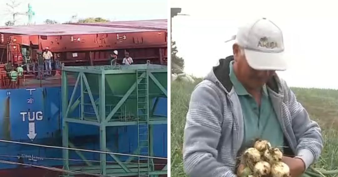 Agricultores temen desaparecer del mercado por el tratado Transpacífico