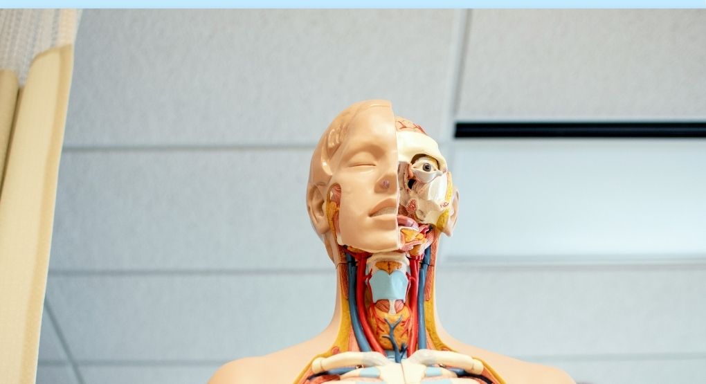 Descubra las deficiencias silenciosas que podrían estar enfermando su cuerpo sin que lo note