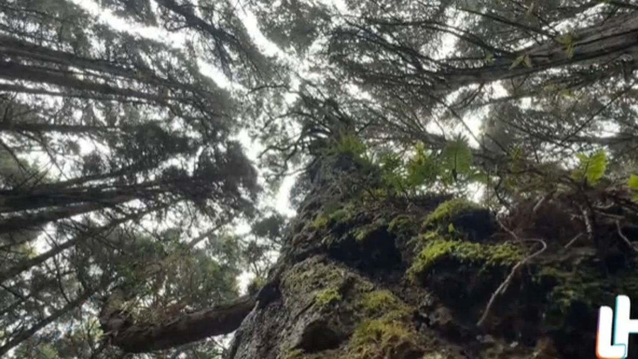 Las tres lagunas donde los campesinos subían en carreta para que lloviera