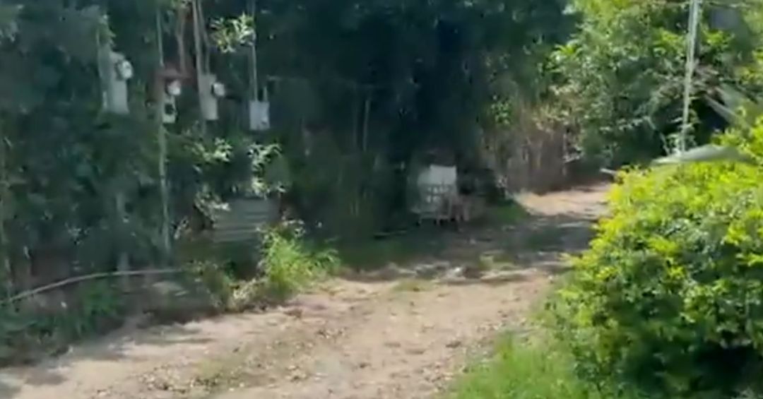 Adulto mayor hallado sin vida tras voraz incendio en Alajuela