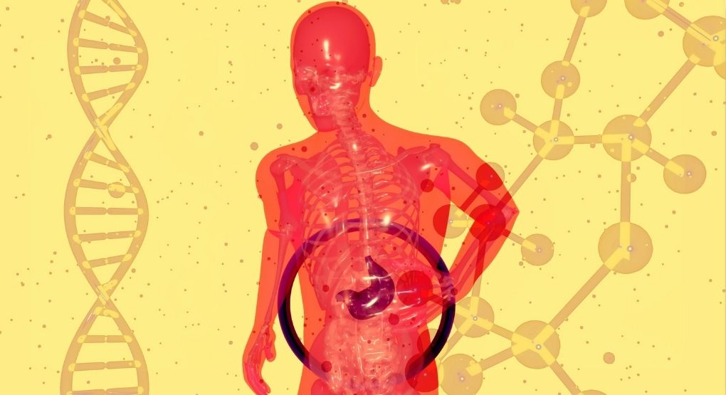 ¿Por qué se inflama tanto el estómago? Doctor lo explica