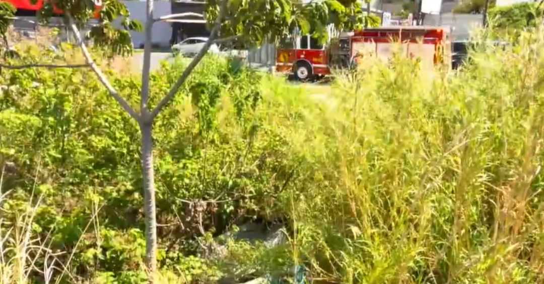 Mujer se resbaló y cayó 15 metros a un río en Heredia