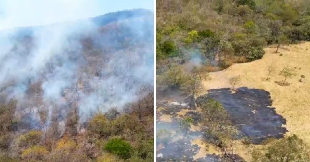 País registra cifra récord de incendios forestales en 2026