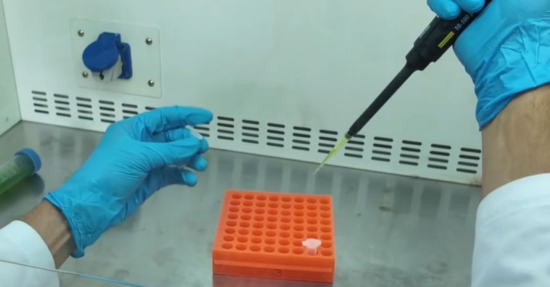Joven estudiante de Cartago ganó importante premio internacional por sus aportes a la ciencia