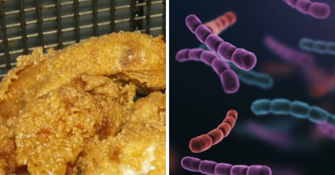 Local de comidas en Ciudad Colón intoxicó a 64 personas con salmonella