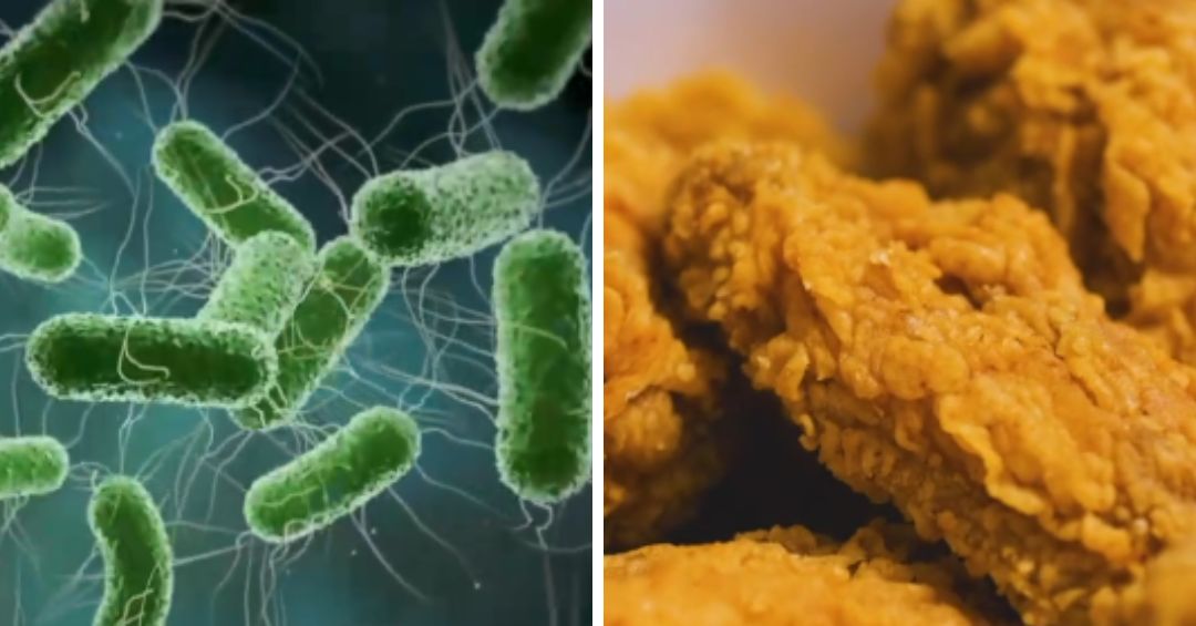 Senasa investiga a los proveedores que vendieron pollo a local asociado al brote de salmonela en Ciudad Colón