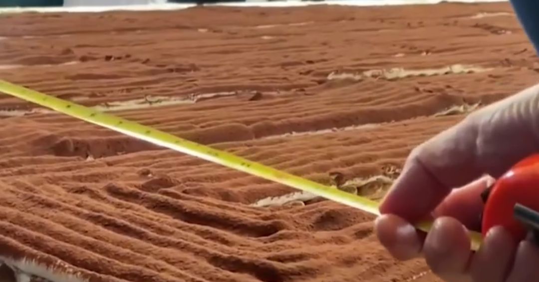 Equipo de 100 chefs de Italia hicieron el tiramisú más largo del mundo