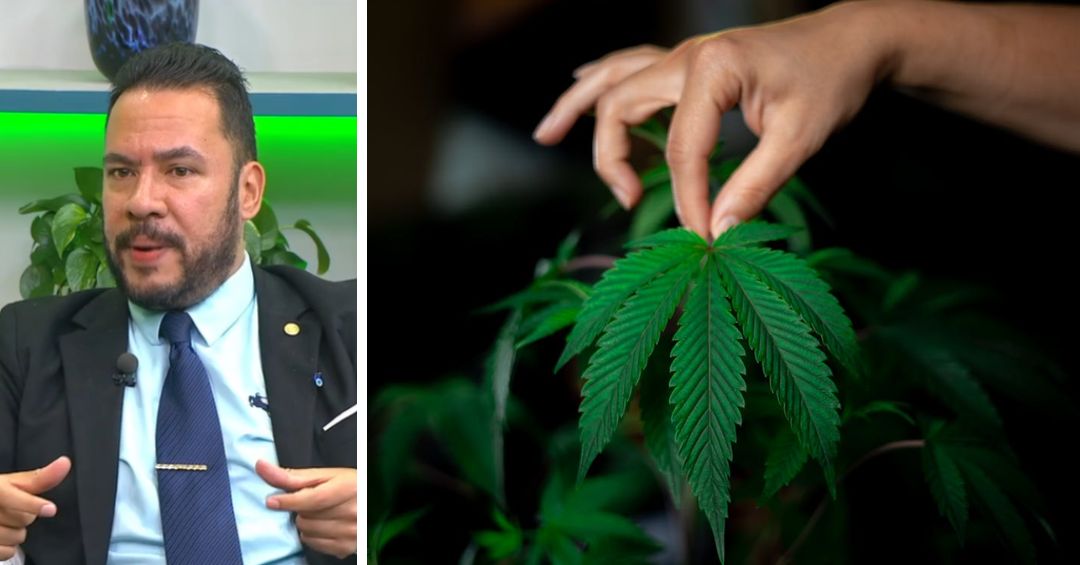 ¿Es legal consumir marihuana en el país? Abogado a