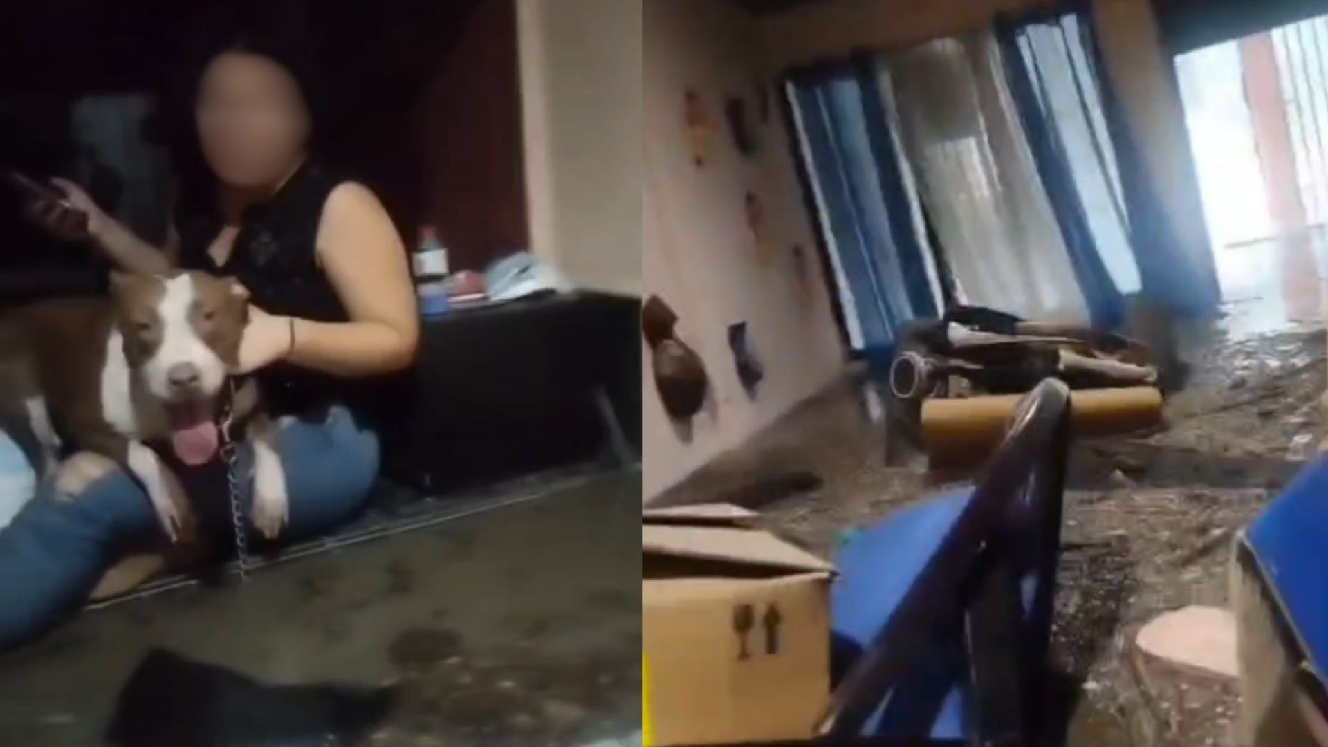 ¡Desesperante video! Mujer suplica ayuda tras quedar atrapada por inundación en su casa