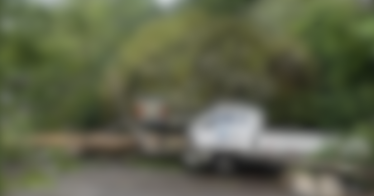 Enorme árbol cae sobre camión en media carretera