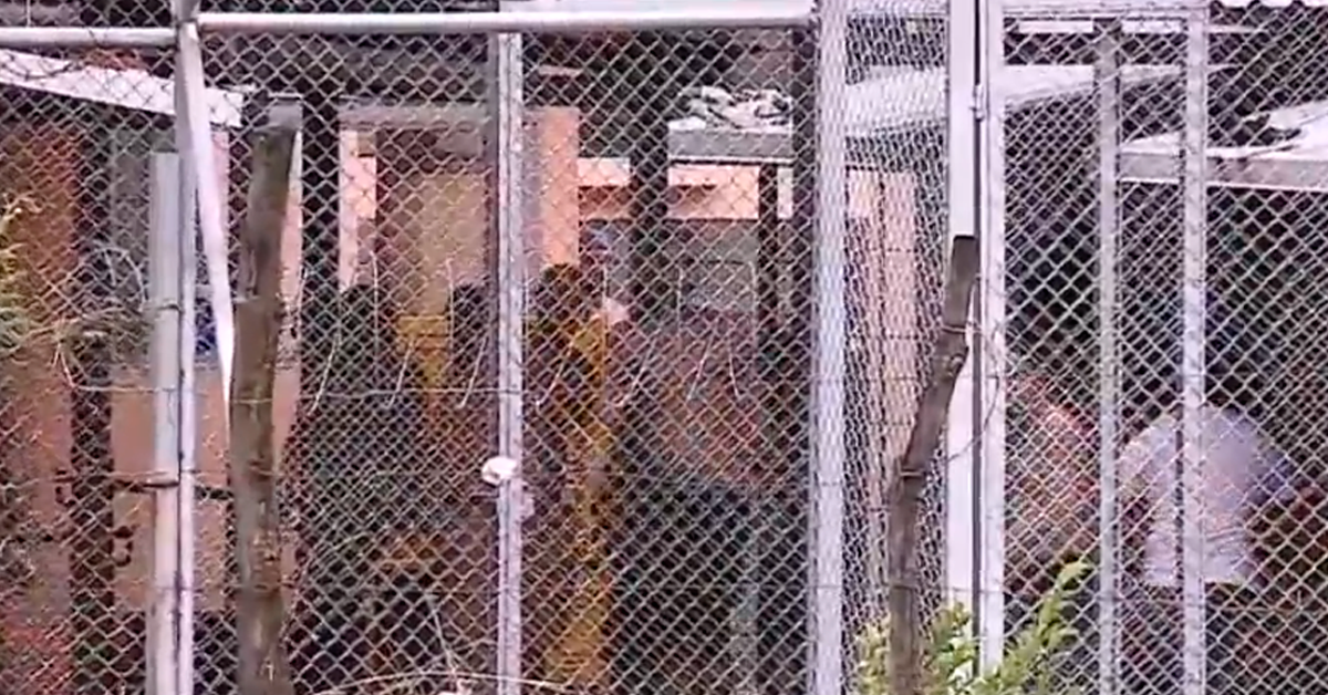 Uso de uniformes en las cárceles podría llegar a e
