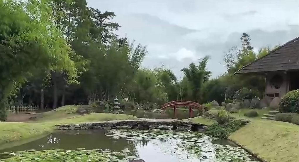 Jardín Lánkester: Árboles desde Hiroshima hasta Costa Rica
